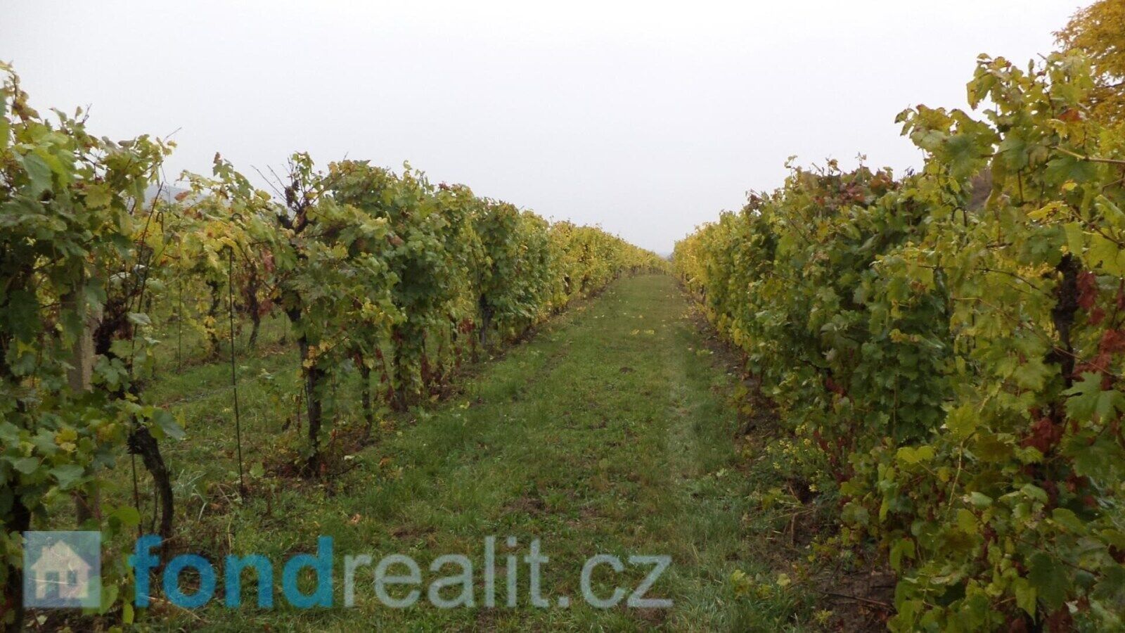 Ostatní, Morkůvky, 4 541 m² - 1