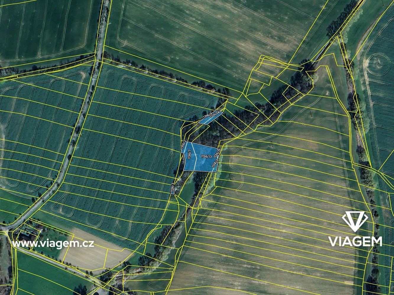 Zemědělský pozemek · Golčův Jeníkov, okres Havlíčkův Brod, Kraj Vysočina - 4