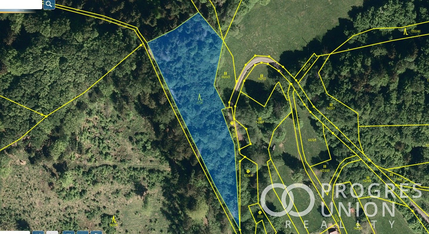 Les · Lhota u Vsetína, okres Vsetín, Zlínský kraj - 3
