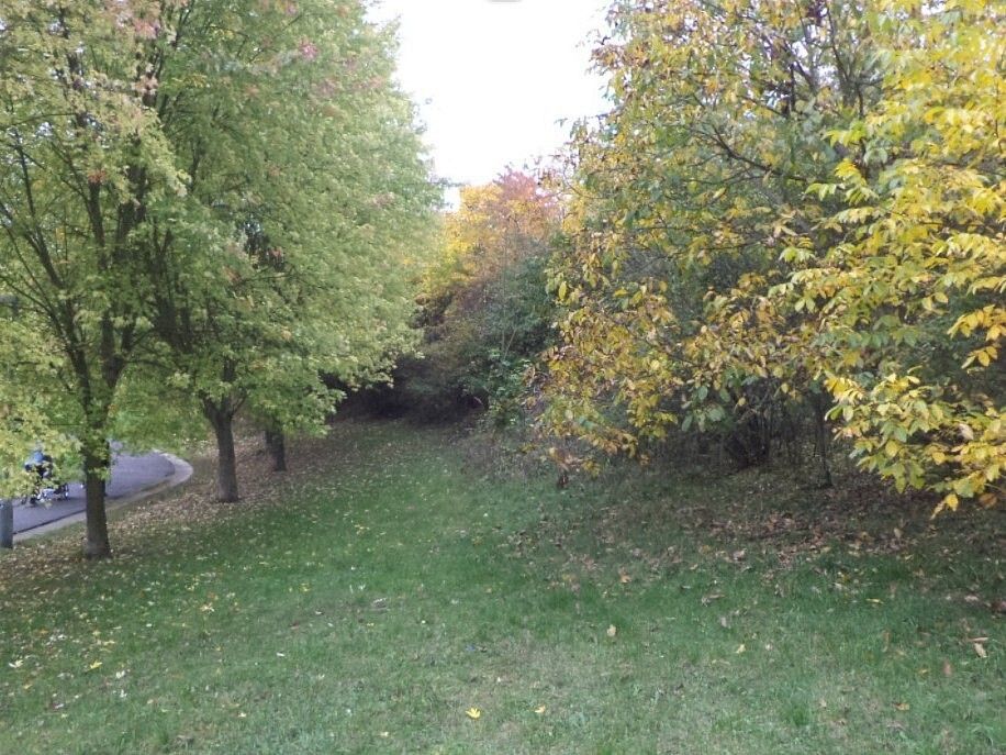 Louky, Ryjice, okres Ústí nad Labem, Ústecký kraj - 2