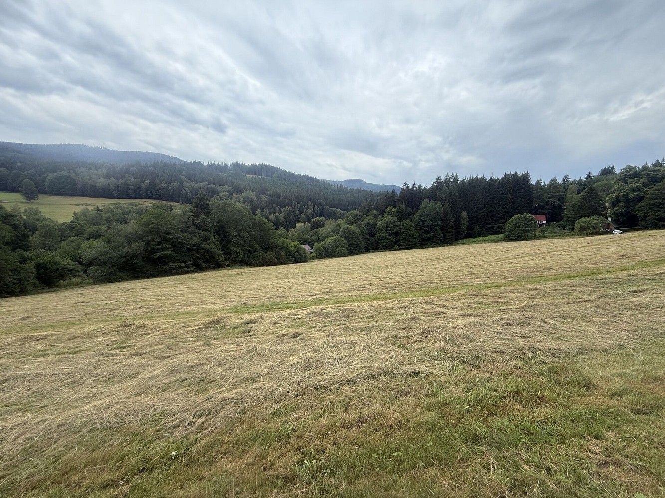 Prodej louka - Hamry, okres Klatovy, Plzeňský kraj - 5