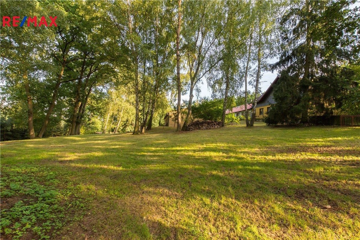 Prodej pozemek pro bydlení - Planá nad Lužnicí, 4 529 m²