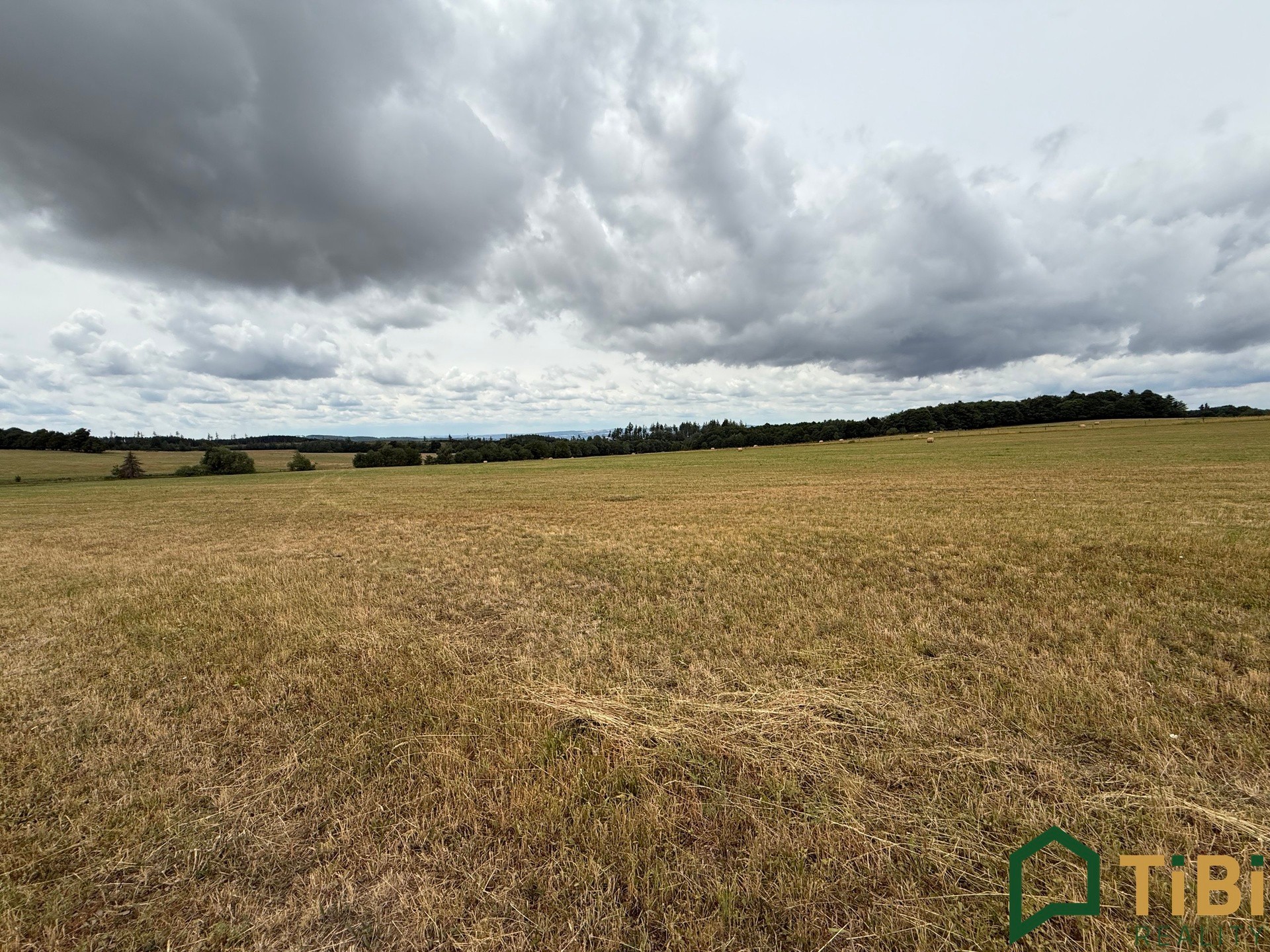 Prodej zemědělský pozemek - Suchý, 2 000 m² - 5