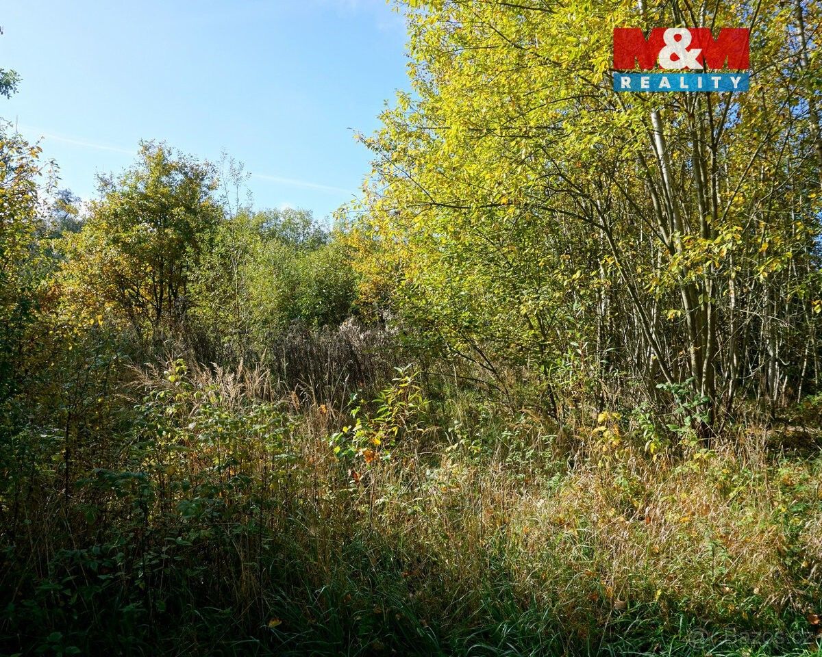 Prodej pozemek pro bydlení - Skalná, 351 34