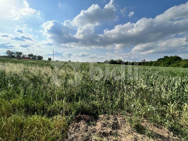 Prodej komerční pozemek - Masarykova  , Rajhrad - 5