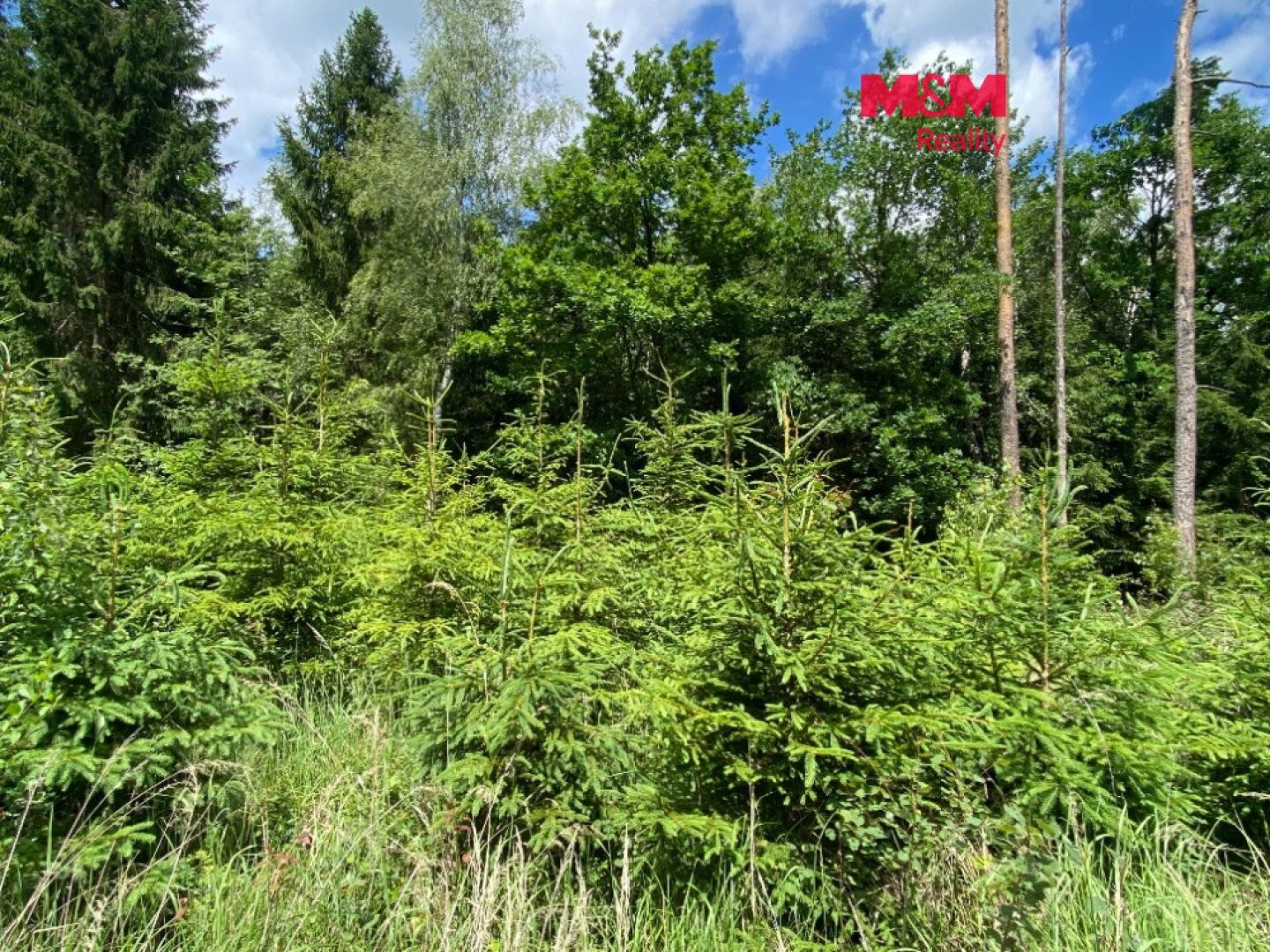 Les, 1 272 m²
