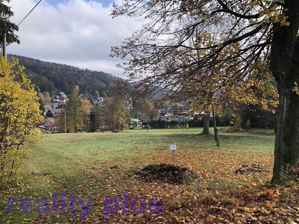 Prodej louka - Bedřichov, 5 m²