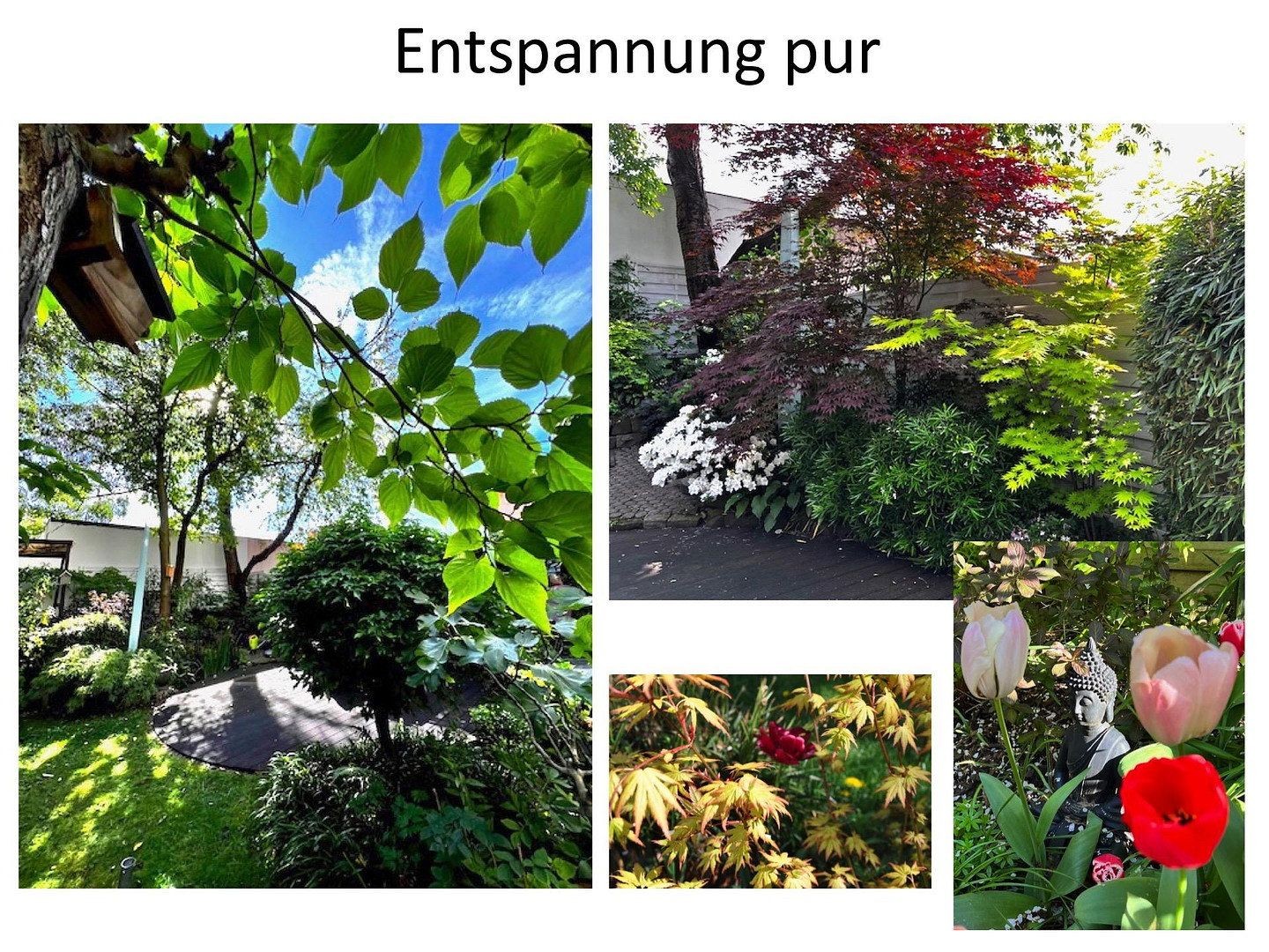 3+kk, Essen Holsterhausen Nordrhein-Westfalen 45147, 98 m² - 1