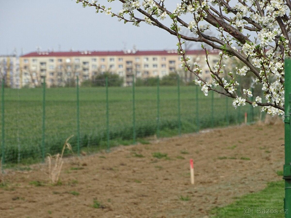 Pronájem zahrada - Veselí nad Moravou, 698 01