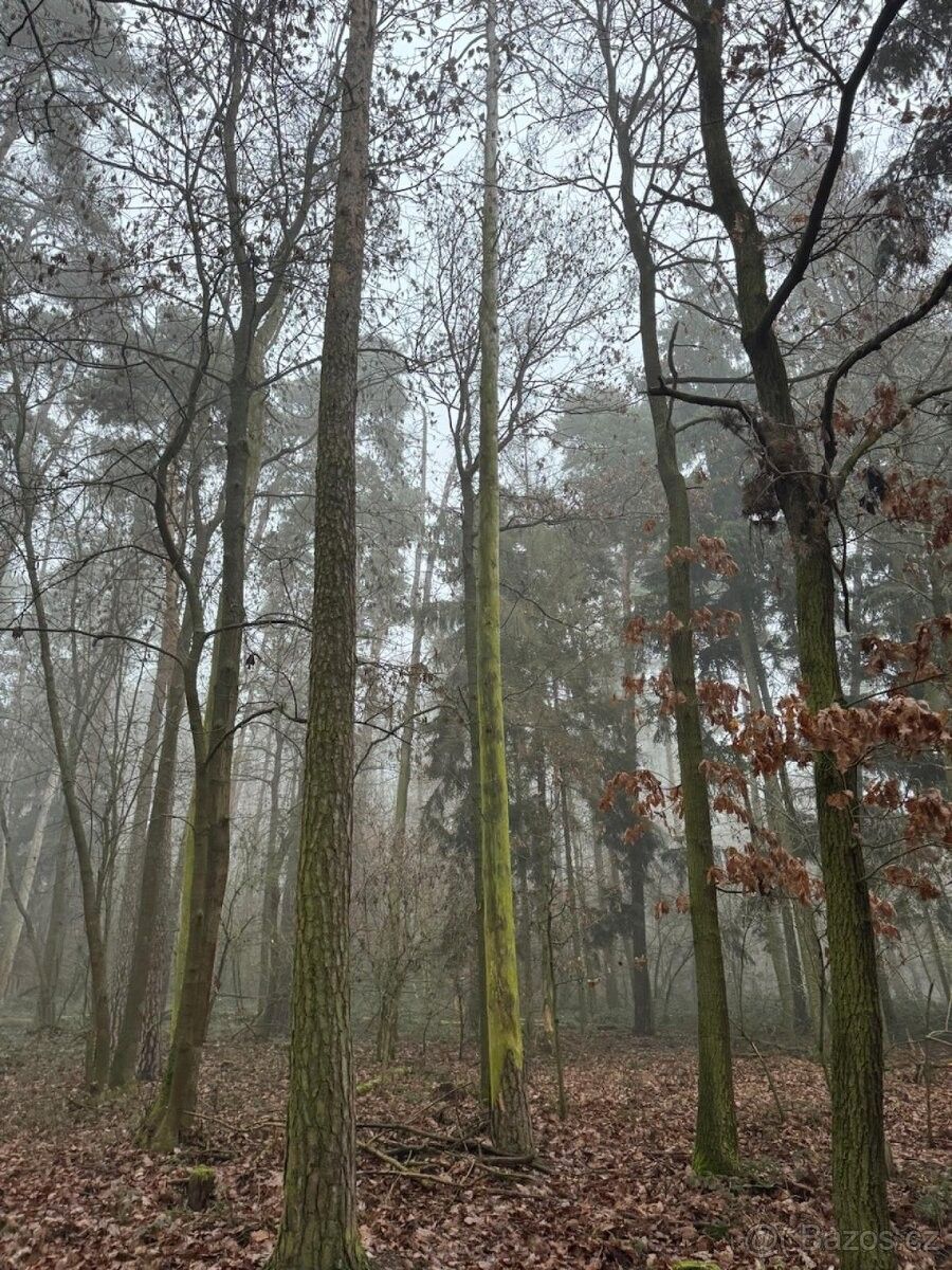 Pozemky pro bydlení, Domažlice, 344 01