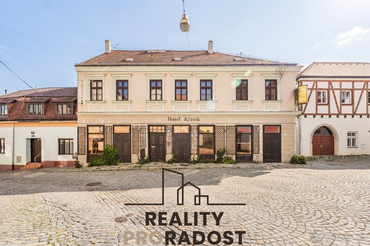 Restaurace, Znojmo, 669 02