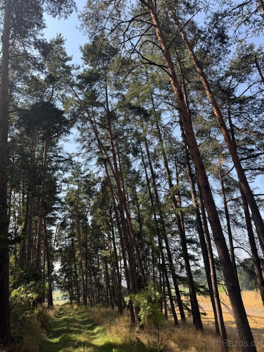 Pozemky pro bydlení, Volenice, 387 16