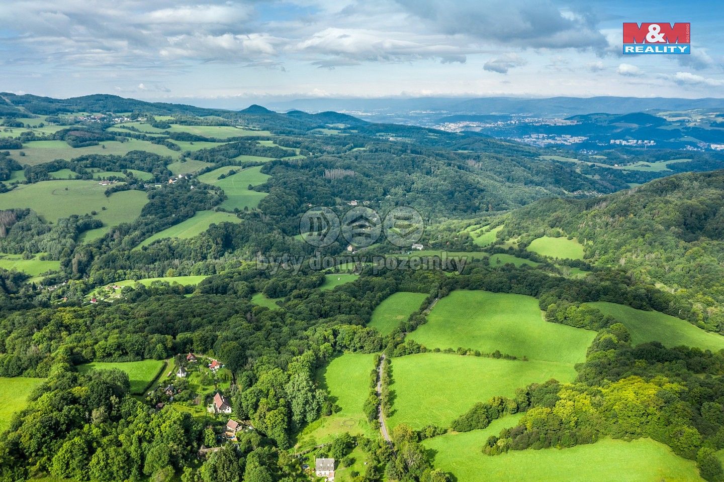 Les · Homole u Panny - Suletice, okres Ústí nad Labem, Ústecký kraj - 3