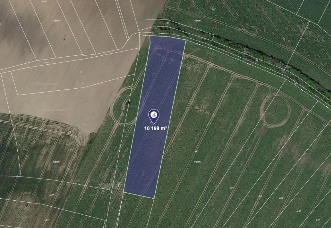 Zemědělské pozemky, Chotěšice, 10 199 m²