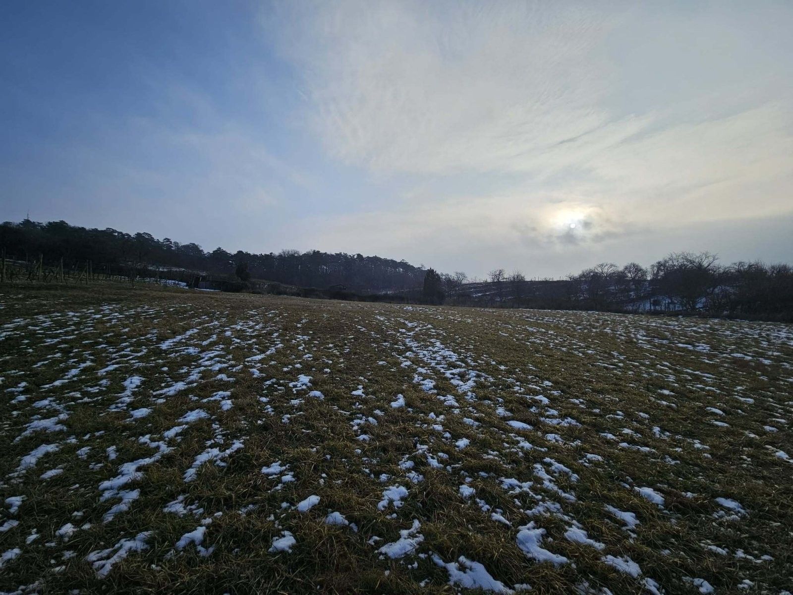 Prodej zahrada - Nová, Mikulov, 2 m²