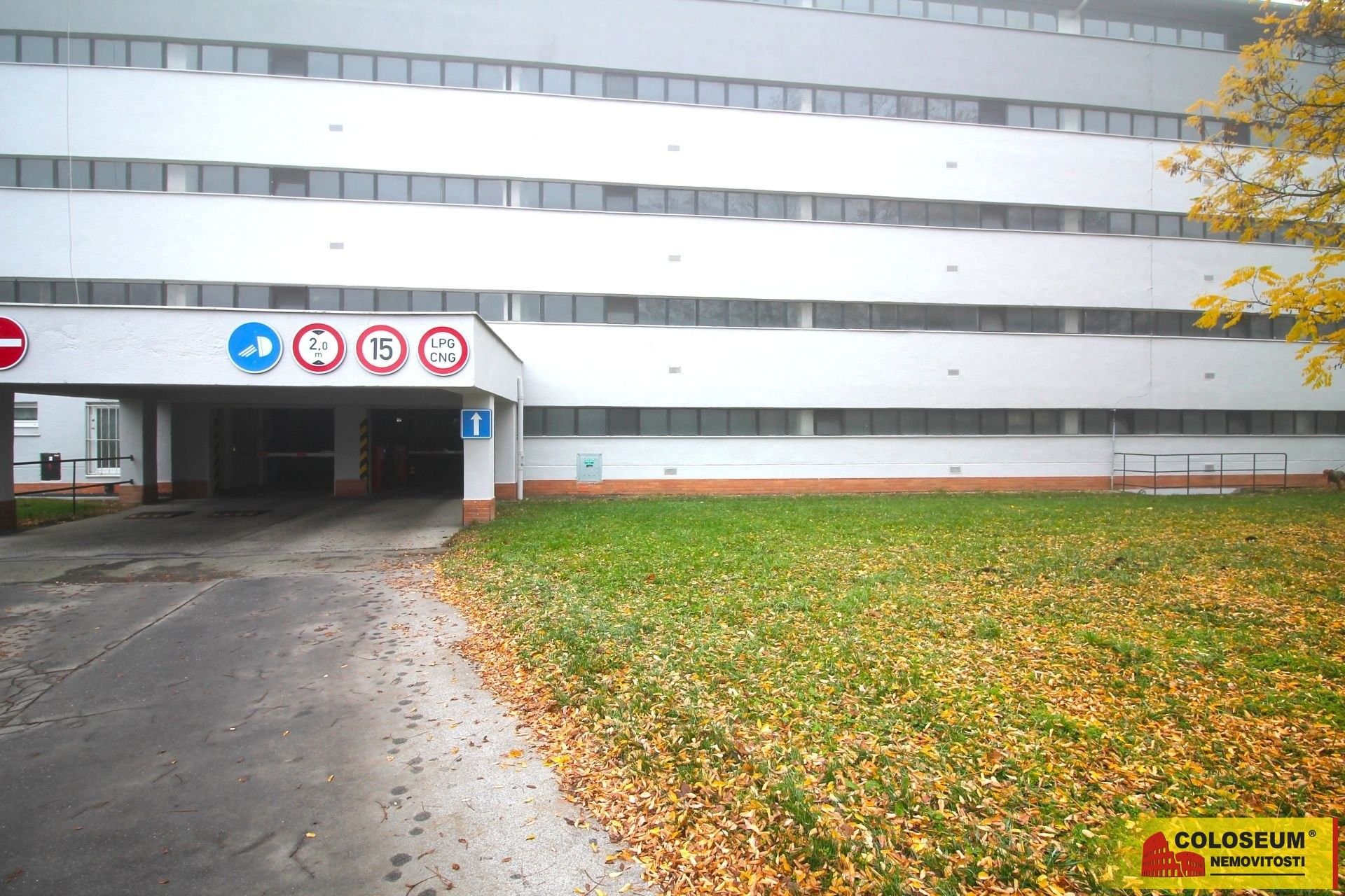 Ostatní, Žabovřesky, Brno, 20 m²