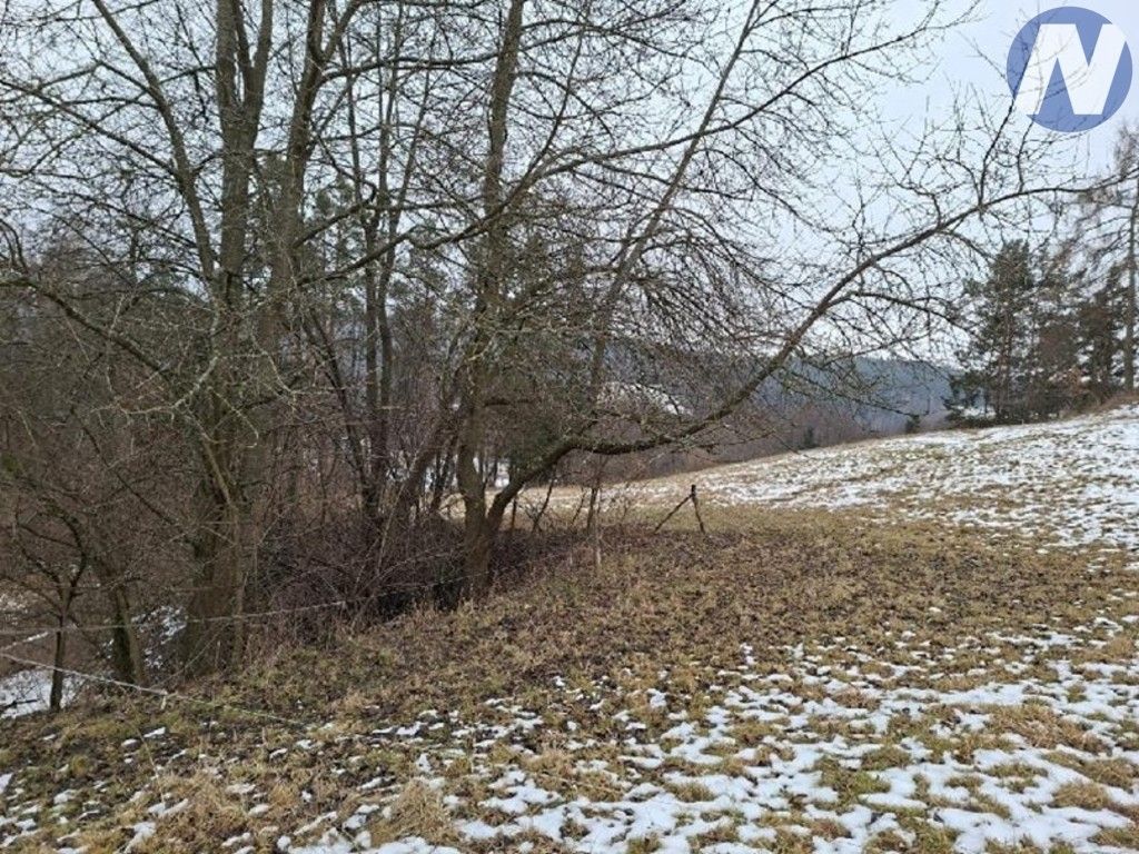 Prodej les - Lčovice, 759 m² - 5