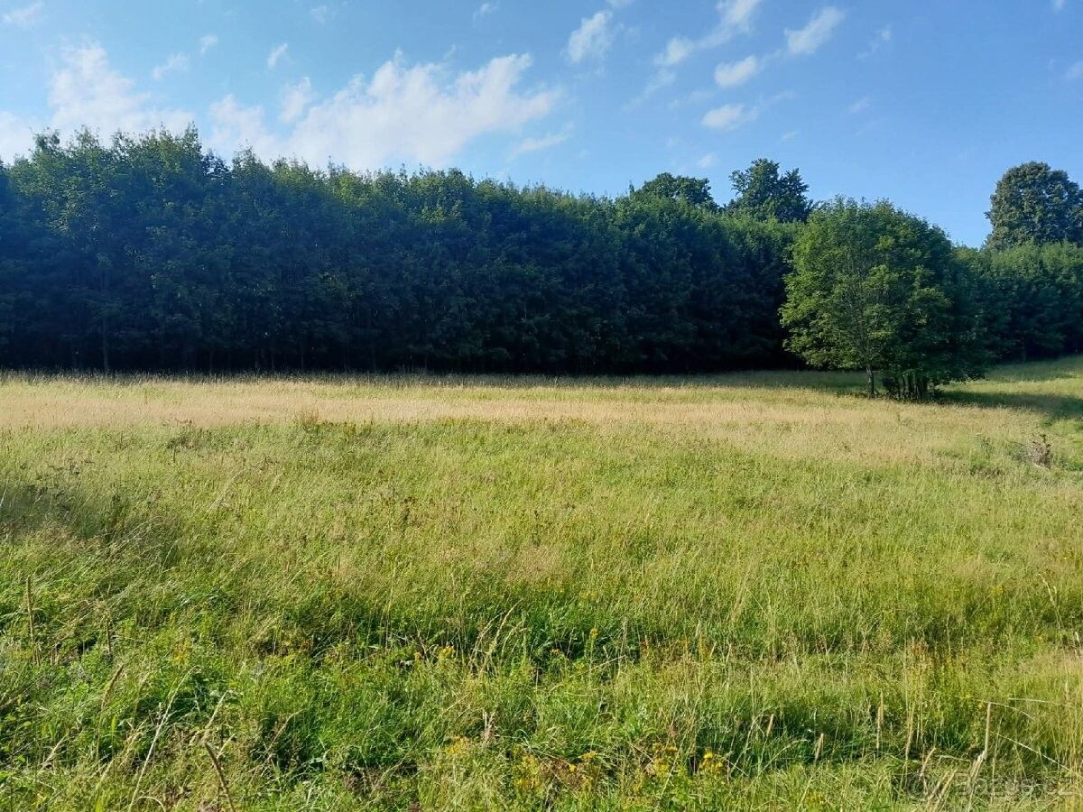 Prodej pozemek pro bydlení - Nový Hrozenkov, 756 04 - 5