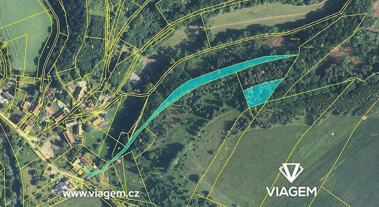 Prodej les - Heřmanice, okres Náchod, Královéhradecký kraj - 1