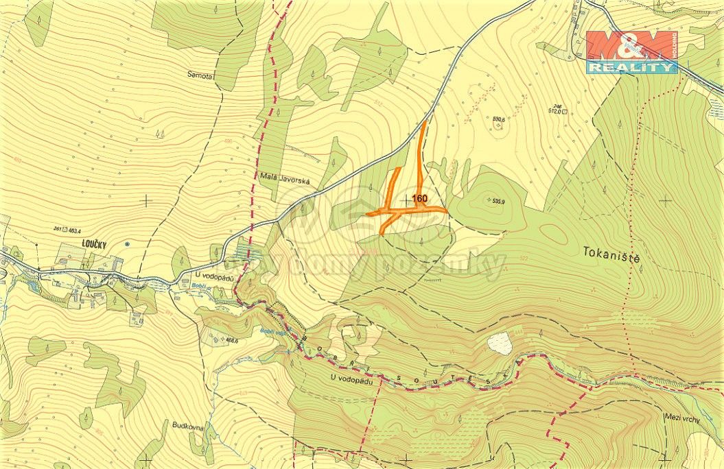 Les · Žandov, okres Česká Lípa, Liberecký kraj - 3