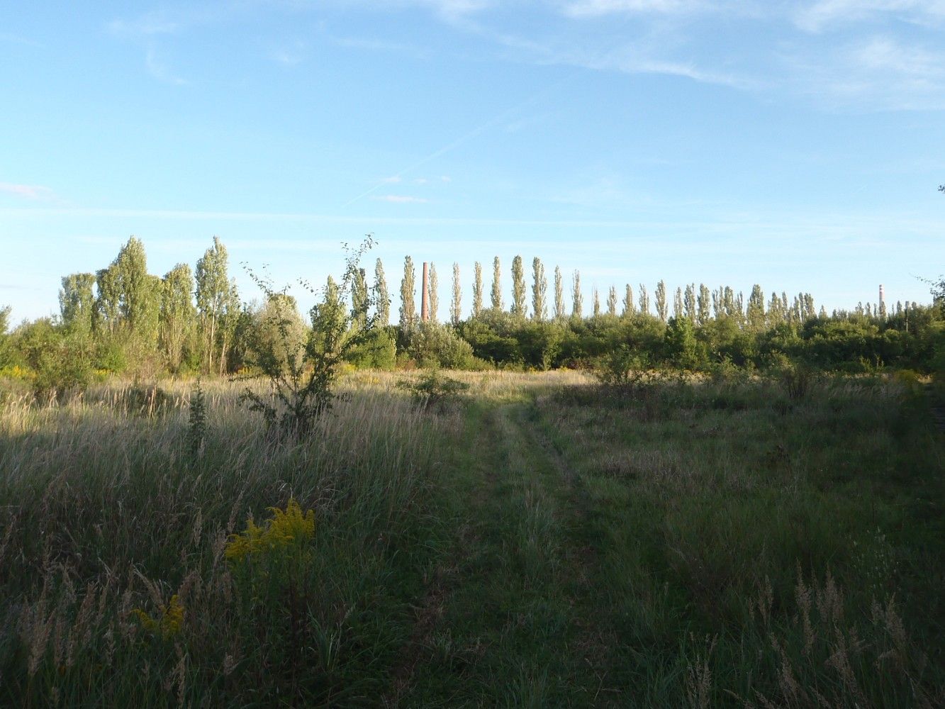 Louka · Kosmonosy, okres Mladá Boleslav, Středočeský kraj - 3