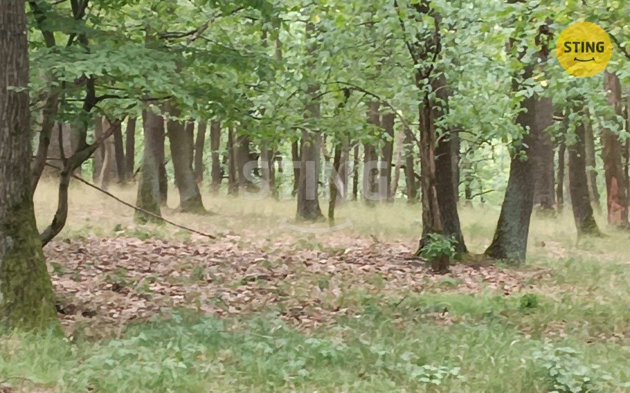 Lesy, Morkůvky, 2 723 m²