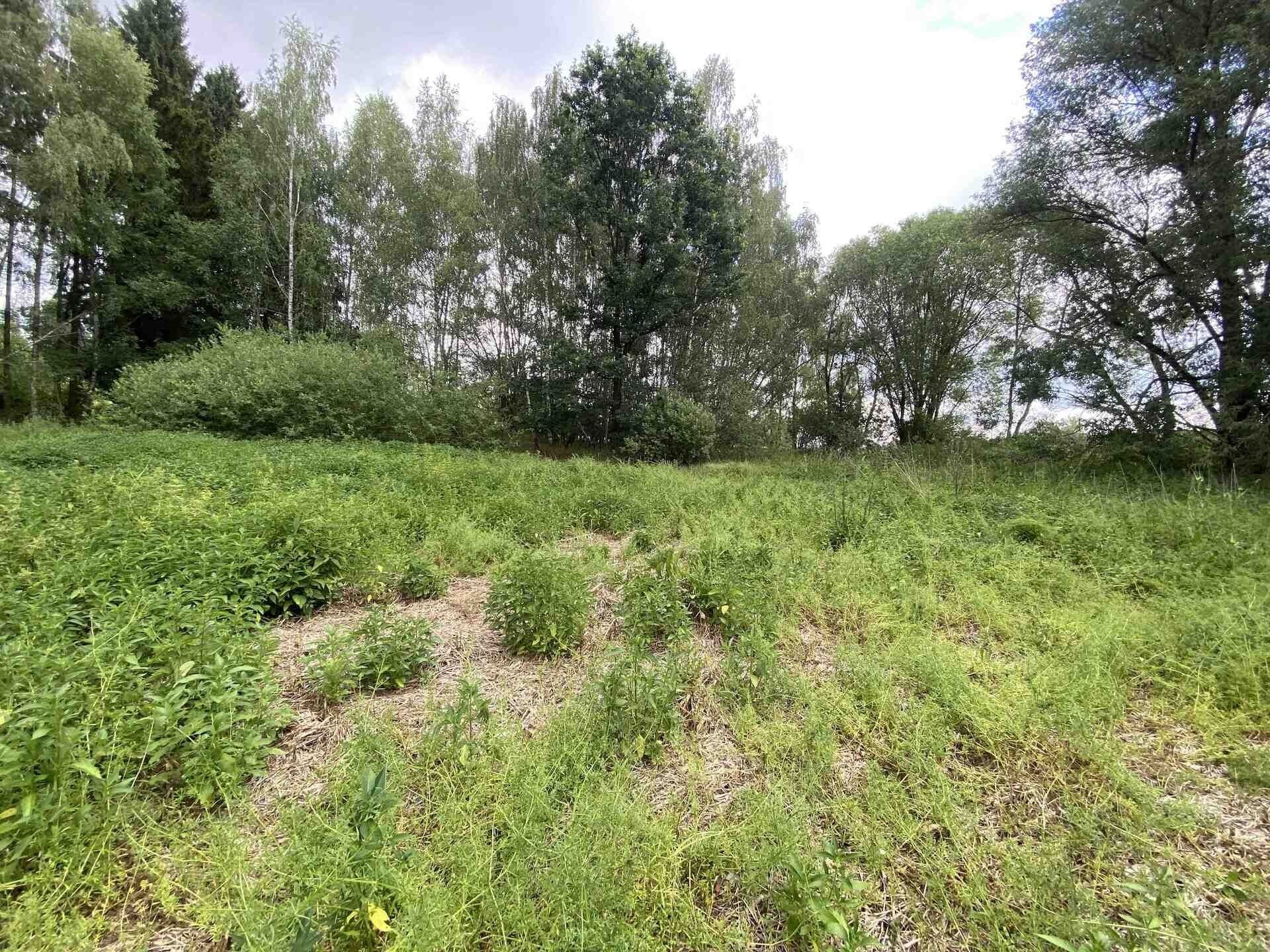 Rybník · 6 751 m² · Nové Hrady Štiptoň - 4