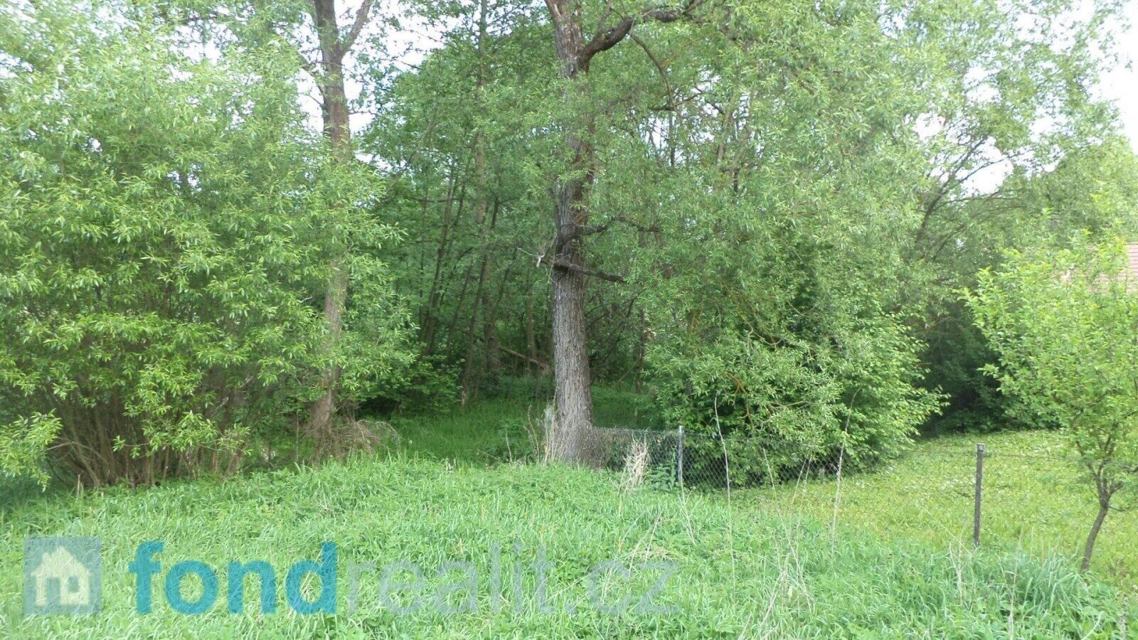 Ostatní, Nové Hrady Údolí, 643 m² - 2