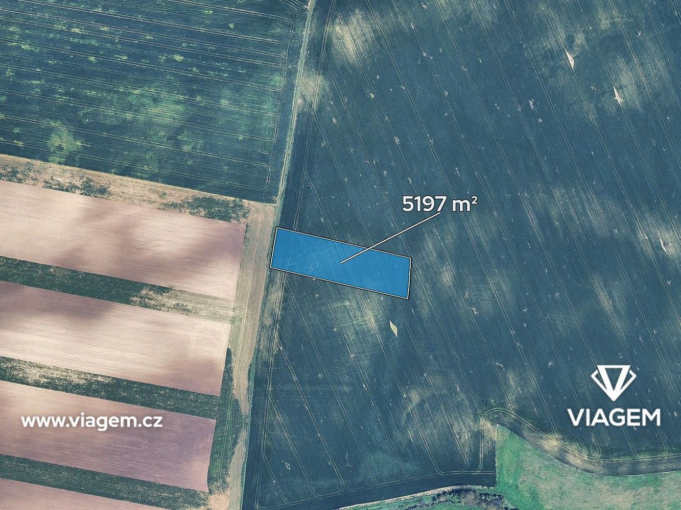 Zemědělské pozemky, Velké Němčice, okres Břeclav, Jihomoravský kraj - 2