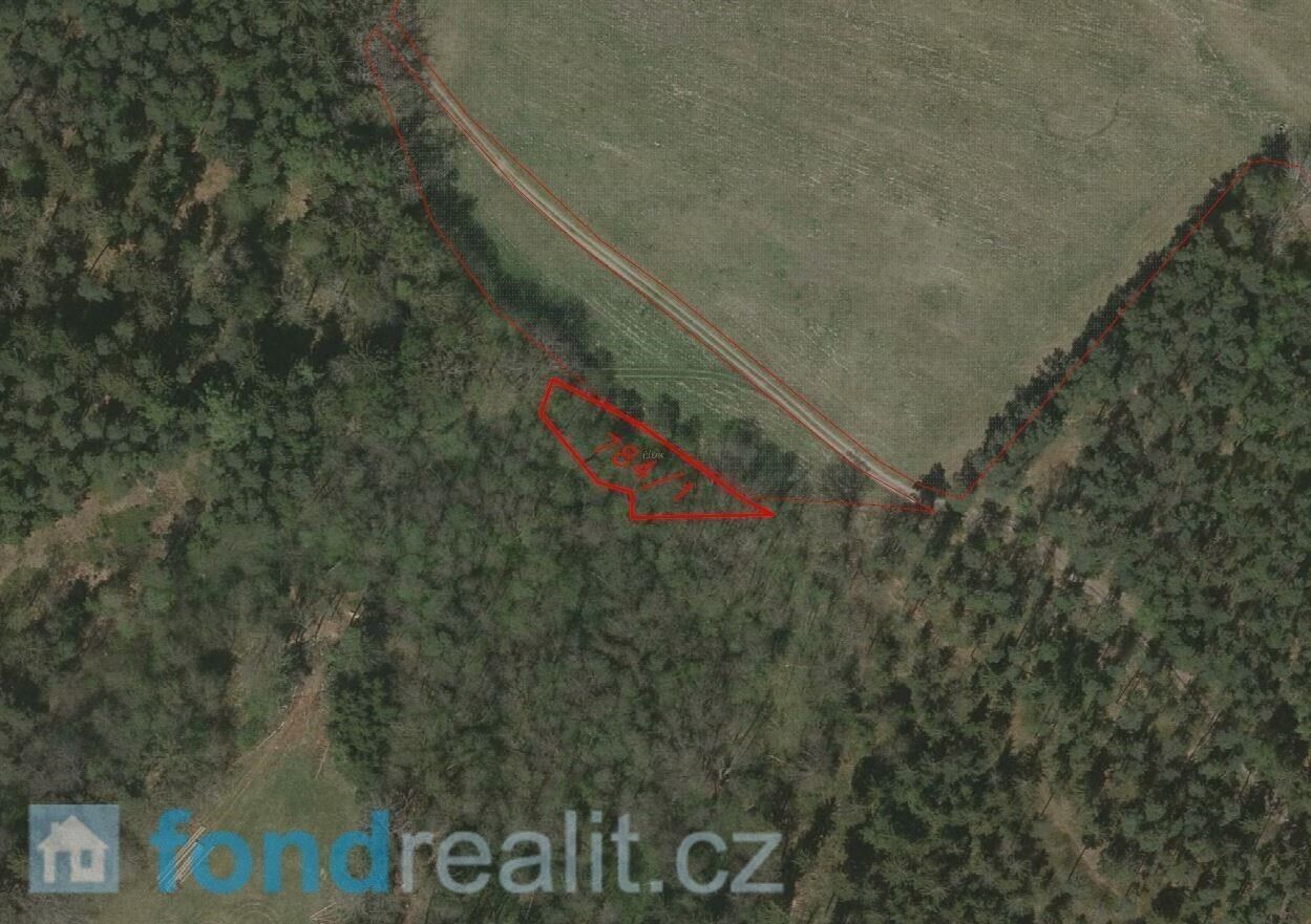 Pozemek · 29 835 m² · Chlum u Třeboně - 4