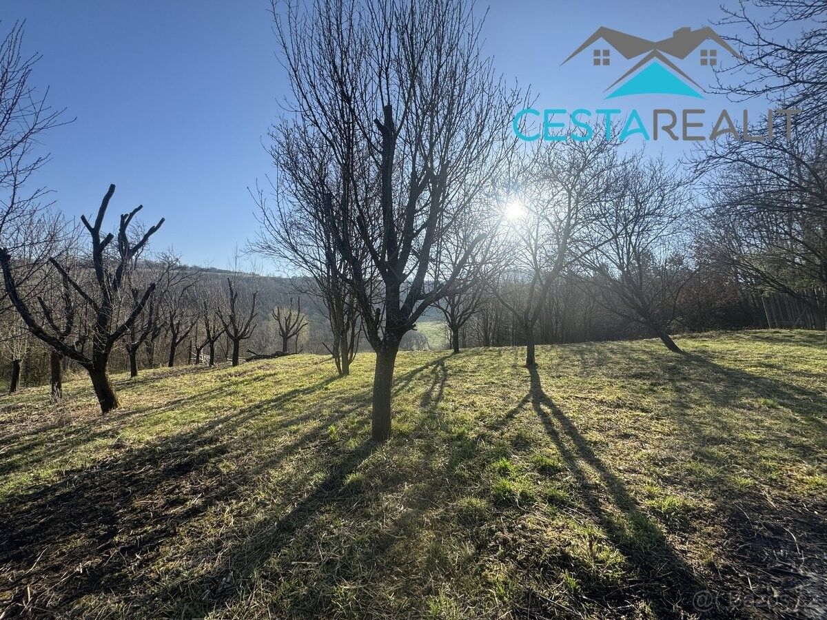 Pozemky pro bydlení, Blatnice pod Svatým Antonínkem, 696 71