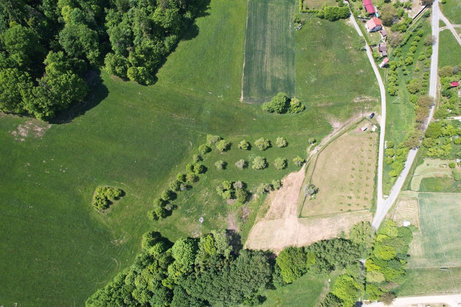 Pozemek pro bydlení · 2 391 m² · Lomnice Veselí - 3
