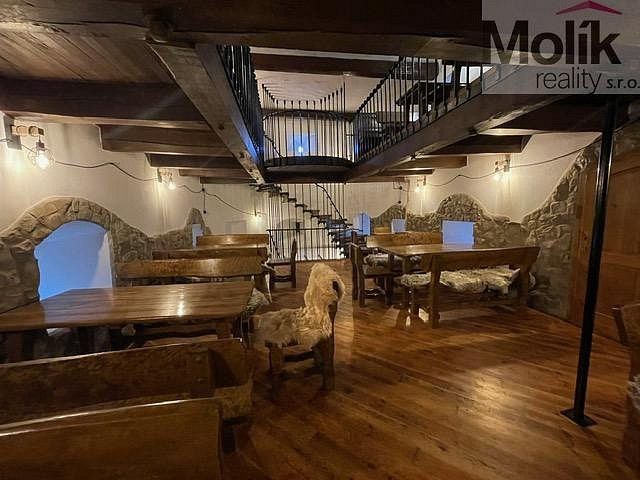 Restaurace, Bílina, okres Teplice, Ústecký kraj, 686 m² - 2