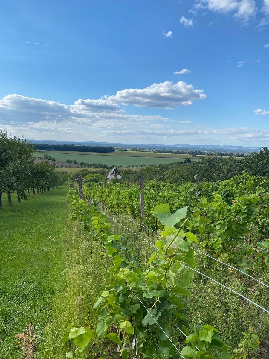 Pozemky pro bydlení, Strážnice, 696 62