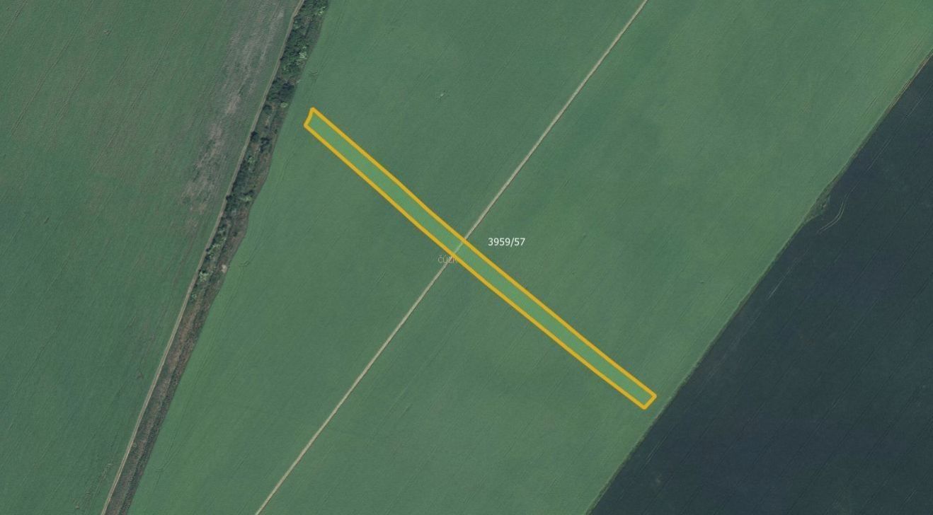 Prodej zemědělský pozemek - Moravská Nová Ves