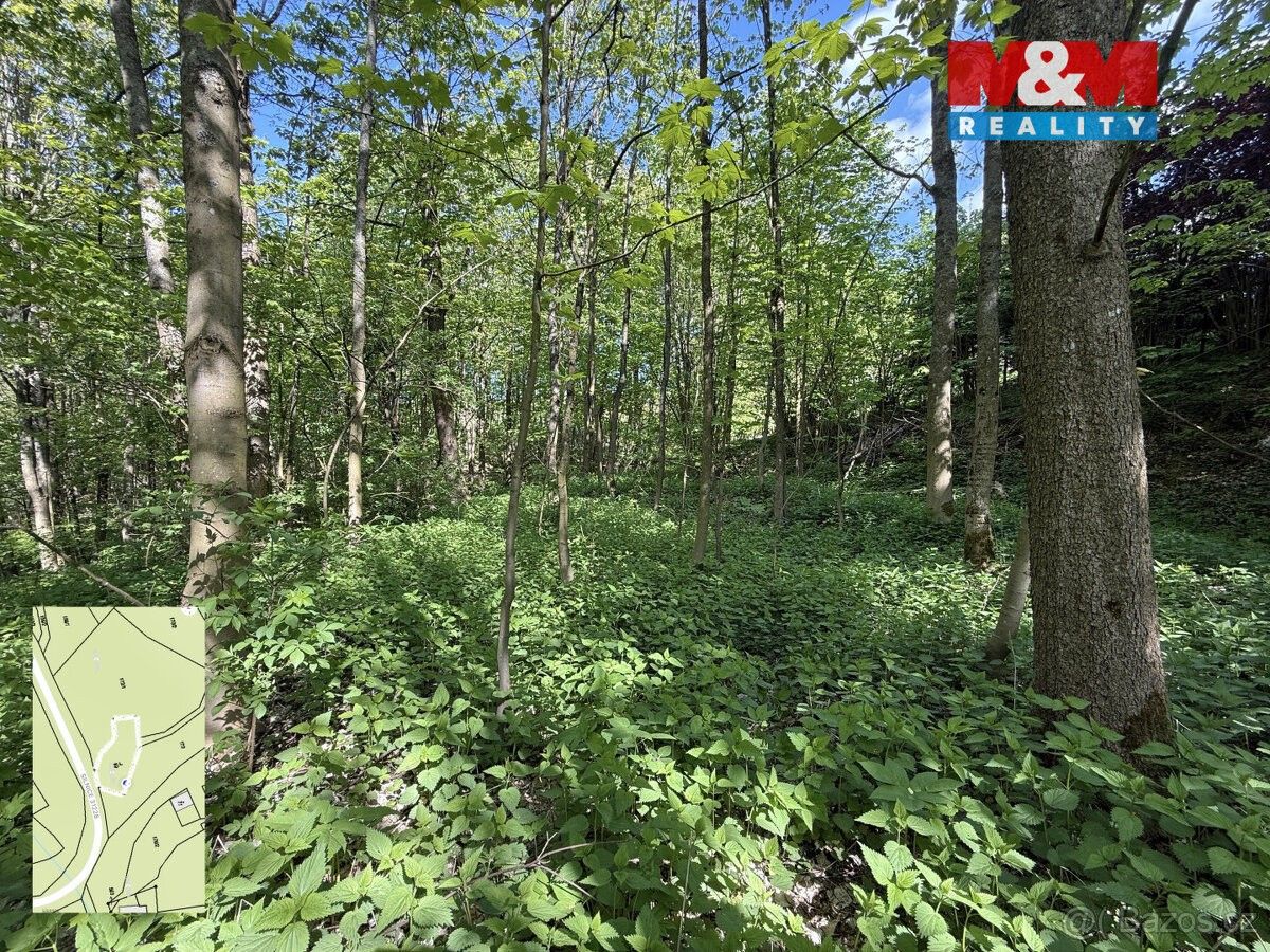 Prodej pozemek pro bydlení - Dolní Morava, 561 69