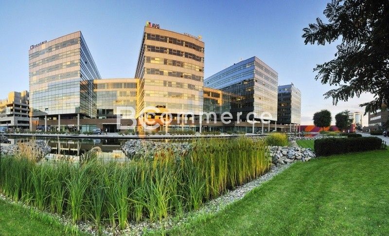 Kanceláře, Štýřice, Brno, 250 m²