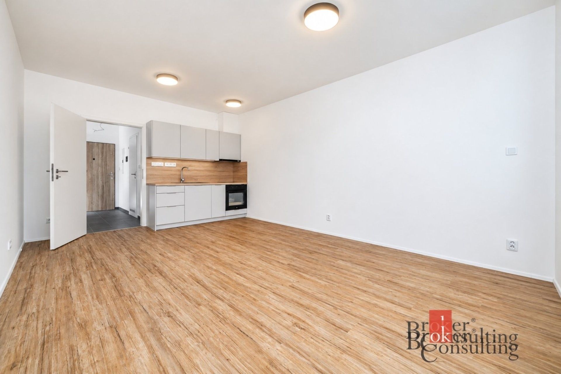 1+kk, Železná,Plzeň 3,Plzeň, 35 m² - 1