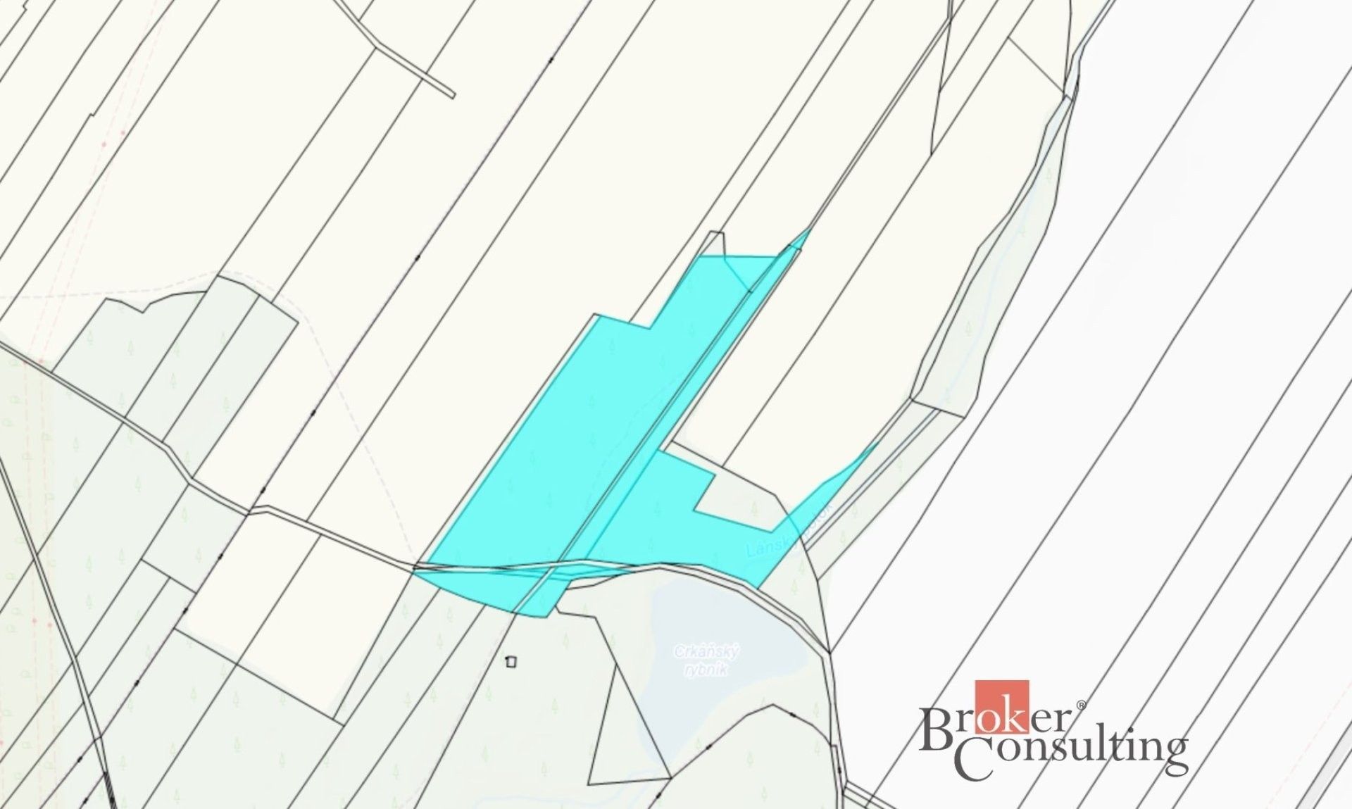 Prodej les - Pardubice-Staré Město, Pardubice, 37 347 m² - 5