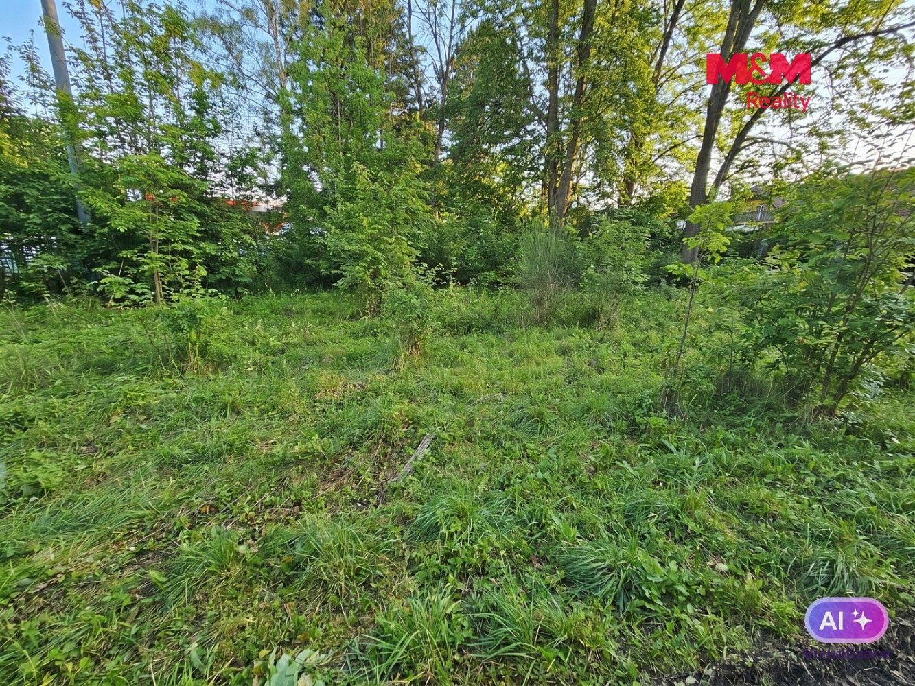 Zemědělské pozemky, Odry, okres Nový Jičín, Moravskoslezský kraj - 2