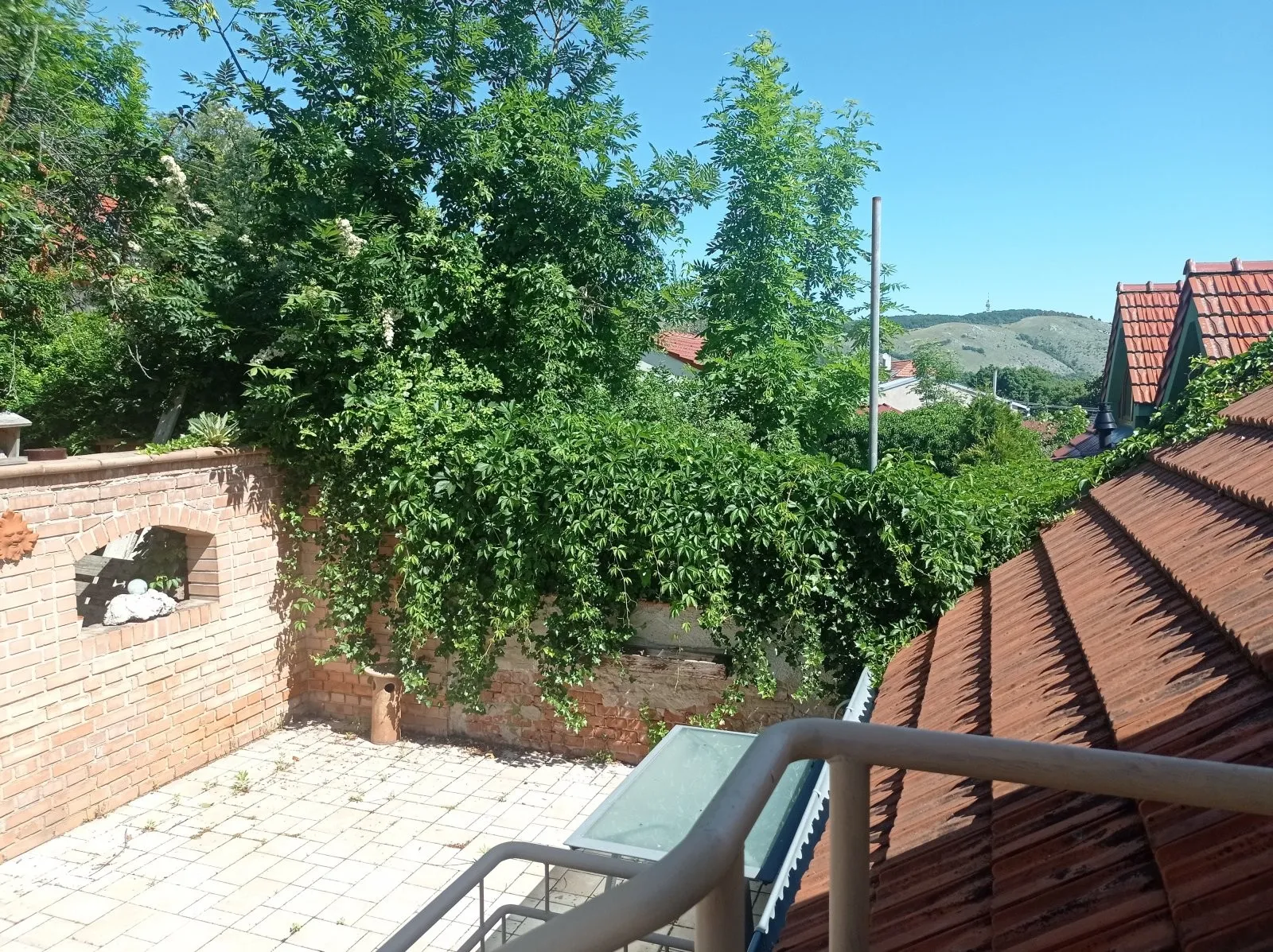 Ostatní