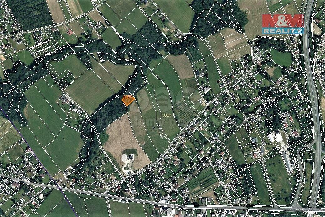 Les · Český Těšín, okres Karviná, Moravskoslezský kraj - 3