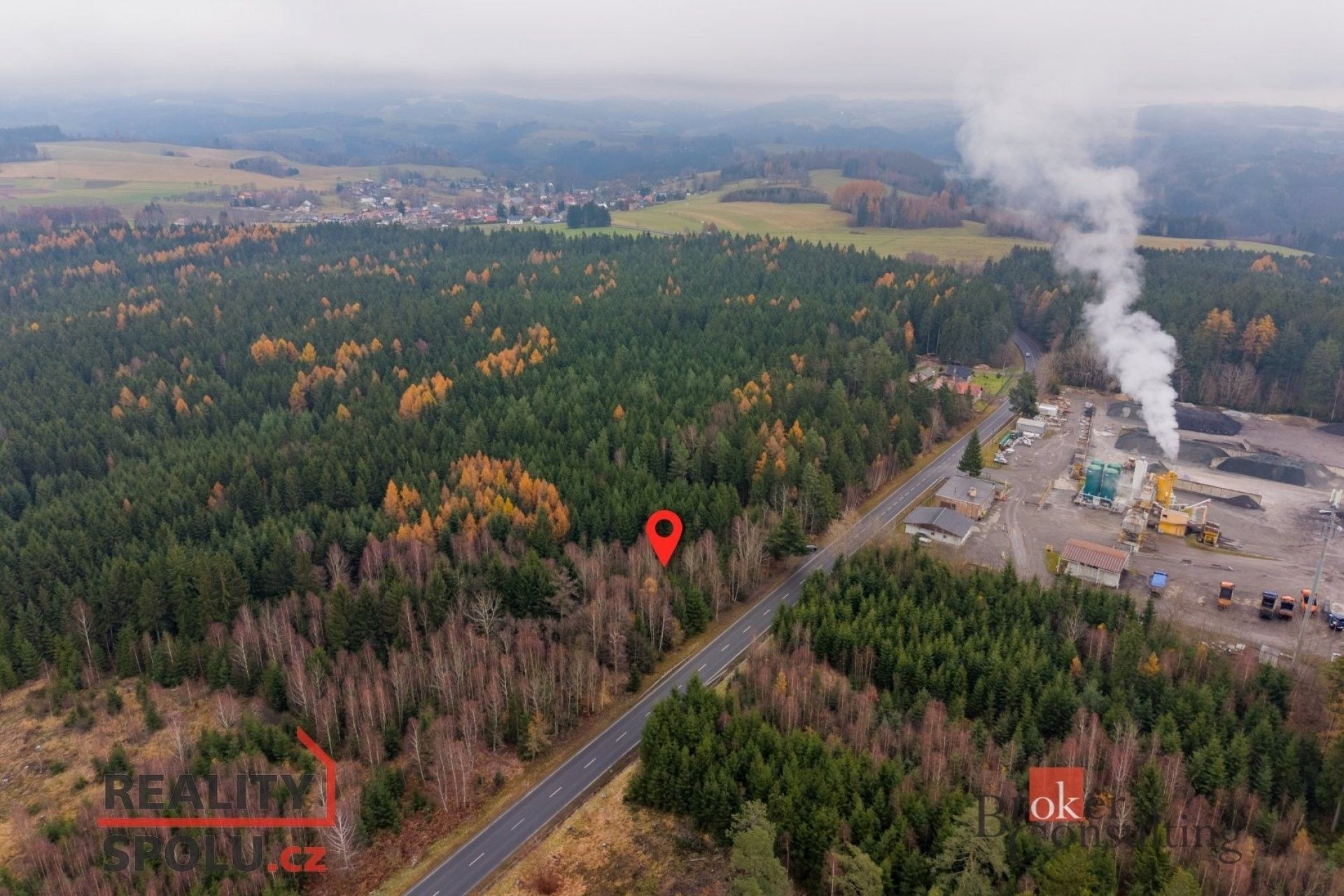 Prodej les - Radčice, 5 425 m²