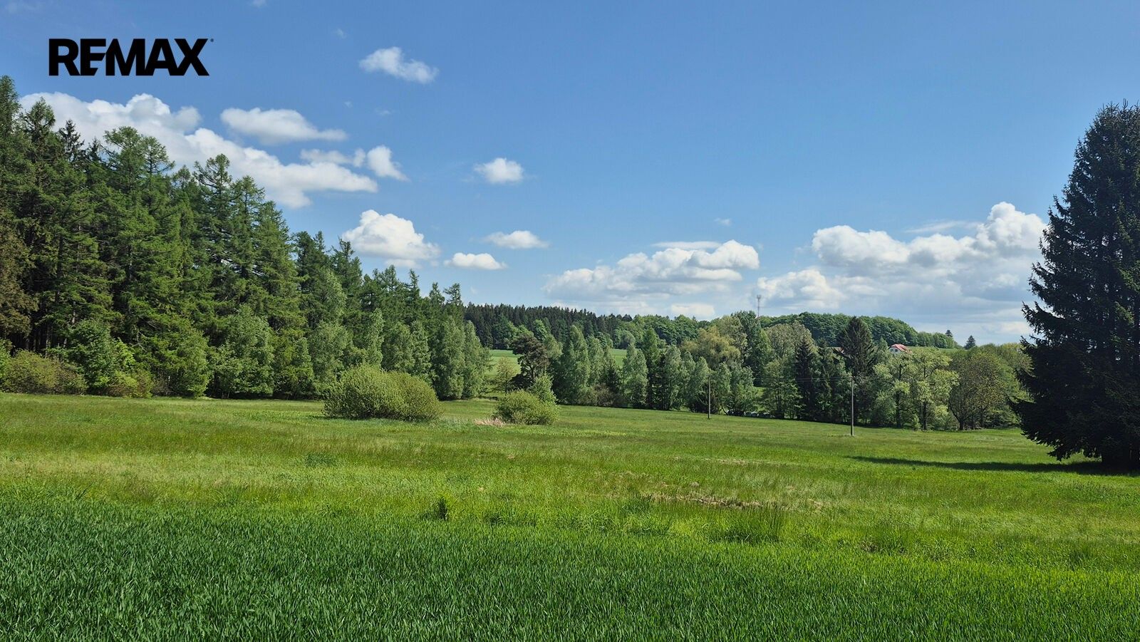 Pozemek pro bydlení · 5 776 m² · Borová - 3