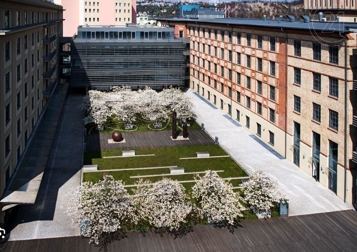 Pronájem kancelář - Jankovcova, Praha, 650 m²