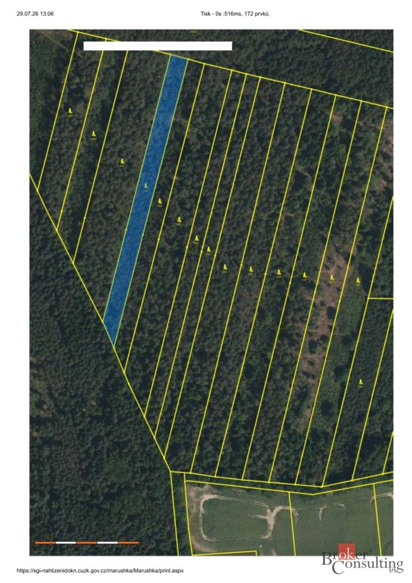 Lesy, Břilice, Třeboň, 32 388 m² - 1