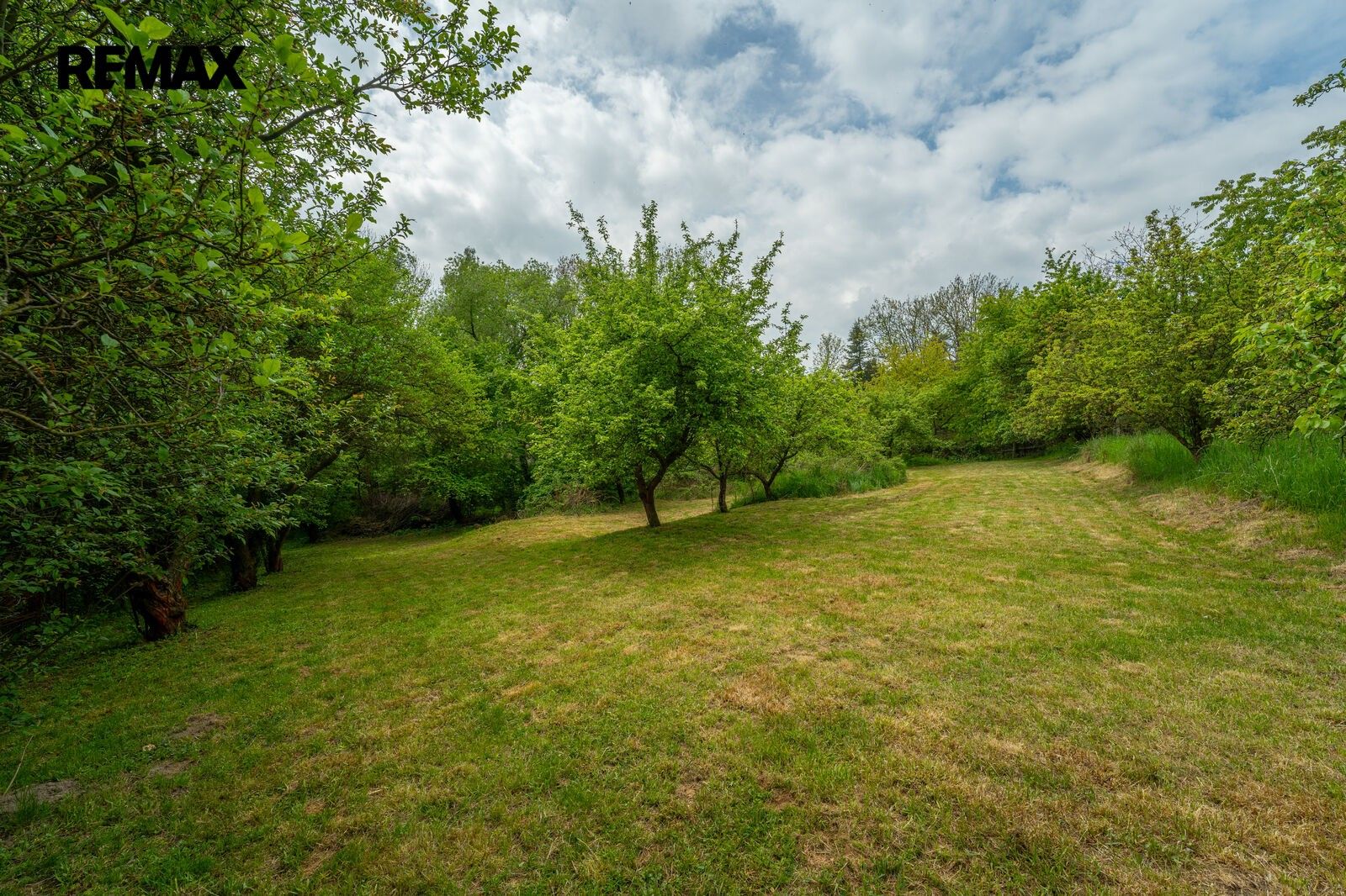 Prodej rodinný dům - Sadová 54, Nová Ves pod Pleší, 134 m² - 5