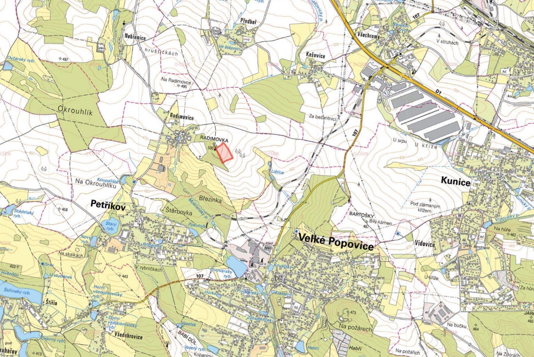 Prodej zemědělský pozemek - Radimovice, Petříkov