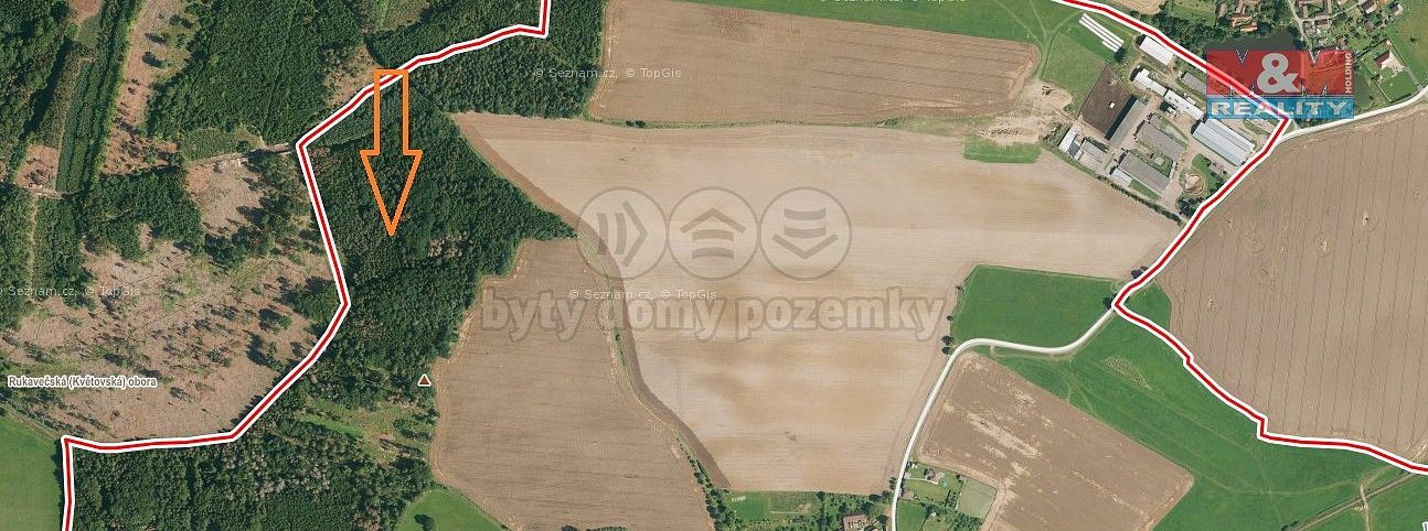 Lesy, Stehlovice, okres Písek, Jihočeský kraj - 2