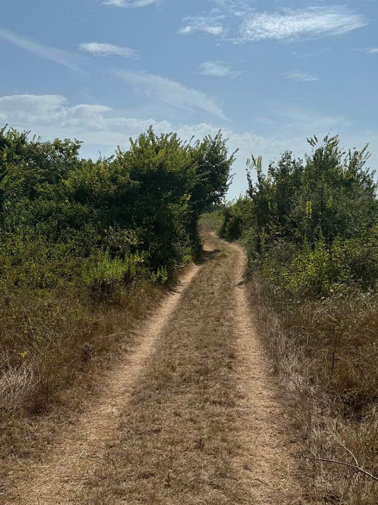Prodej pozemek pro bydlení - Privlaka, HR - 5